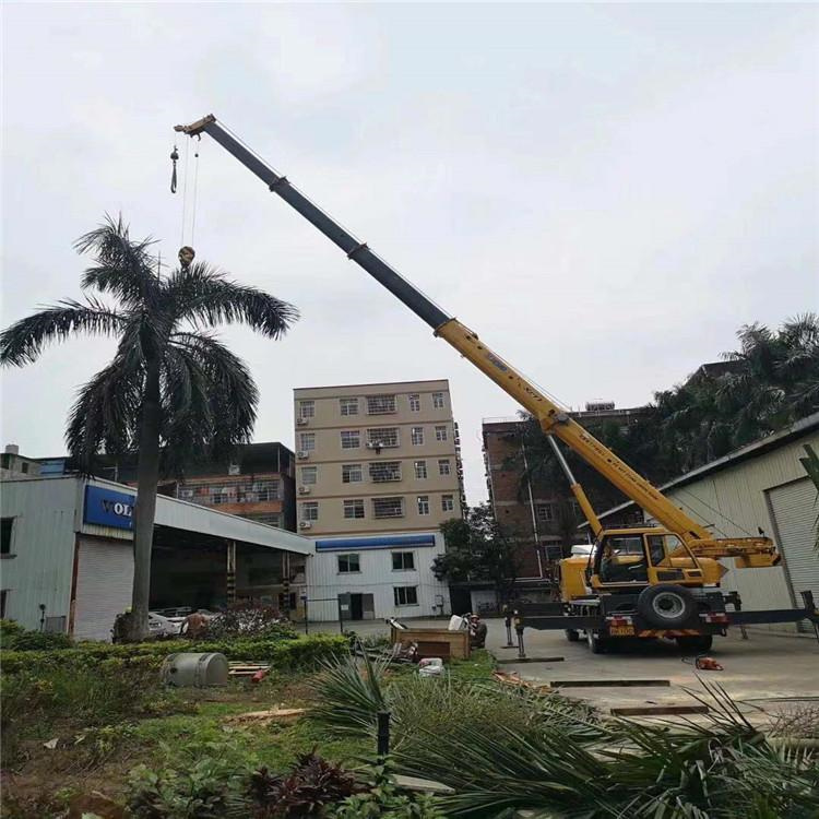 东英镇汽车吊出租多少钱？全面解析与市场行情